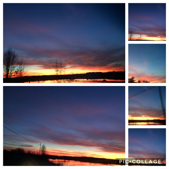 Meet your Posher, Bridget - Picture 1 of 1